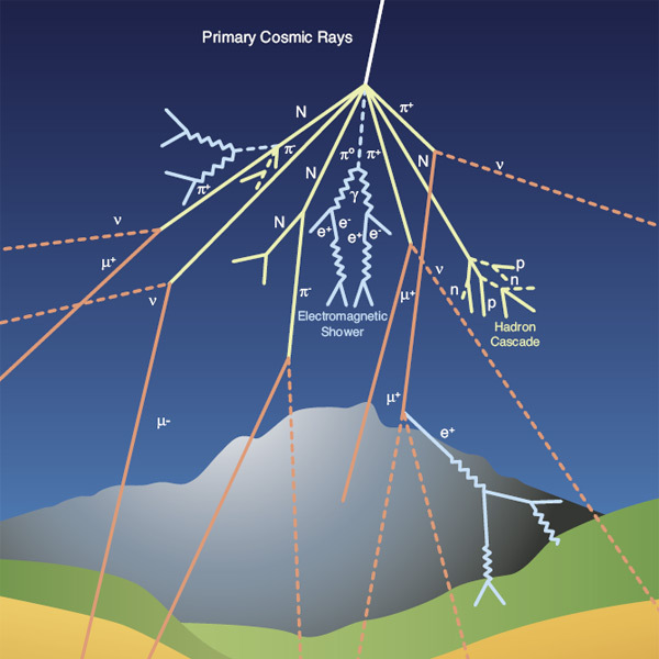 Cosmic Ray Detector